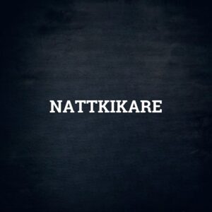 Nattkikare